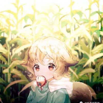 全国统一停车标准是假新闻
